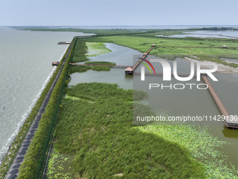 View of Chagan Lake in Songyuan, China, on July 18, 2024. (