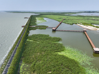 View of Chagan Lake in Songyuan, China, on July 18, 2024. (