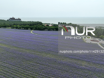 View of Chagan Lake in Songyuan, China, on July 18, 2024. (