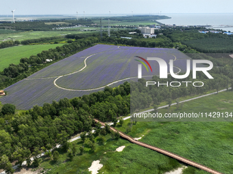 View of Chagan Lake in Songyuan, China, on July 18, 2024. (