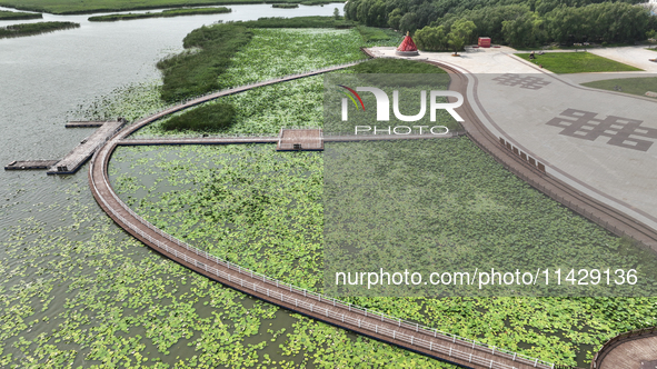 View of Chagan Lake in Songyuan, China, on July 18, 2024. 