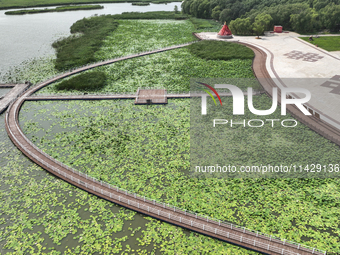 View of Chagan Lake in Songyuan, China, on July 18, 2024. (