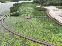 View of Chagan Lake in Songyuan, China, on July 18, 2024. (