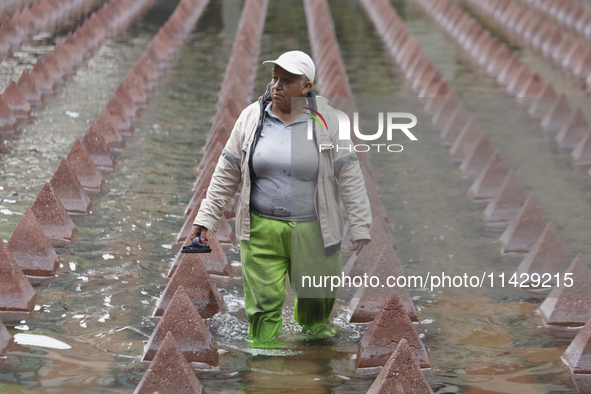 A person is taking shelter from the rain in downtown Mexico City, Mexico, on Monday. After Mexico City reached a record temperature of 34.2...