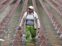 A person is taking shelter from the rain in downtown Mexico City, Mexico, on Monday. After Mexico City reached a record temperature of 34.2...