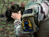 A shoulder sleeve patch is on a serviceman of the Smurfs Task Force Police Regiment during a tactical exercise in Ukraine, on July 22, 2024....