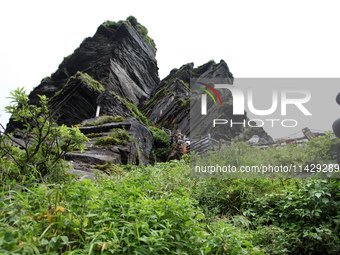 An aerial photo is showing Mount Fanjing goldentop in Tongren city, Guizhou province, China, on July 16, 2024. (