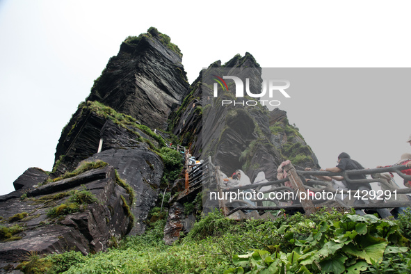 An aerial photo is showing Mount Fanjing goldentop in Tongren city, Guizhou province, China, on July 16, 2024. 