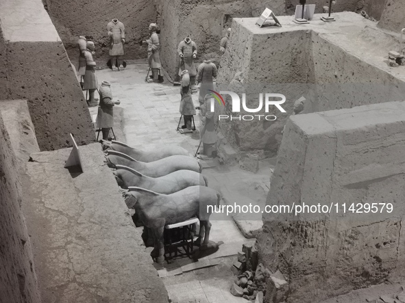 Relics are being seen at Emperor Qinshihuang's Mausoleum Site Museum in Xi'an, China, on July 13, 2024. 