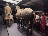 Tourists are visiting Emperor Qinshihuang's Mausoleum Site Museum in Xi'an, China, on July 13, 2024. (