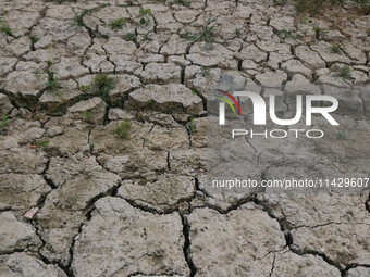 A dried portion of the river Jhelum is visible from above as the dry spell is continuing in Srinagar, Jammu and Kashmir, on July 23, 2024. A...