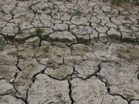 A dried portion of the river Jhelum is visible from above as the dry spell is continuing in Srinagar, Jammu and Kashmir, on July 23, 2024. A...