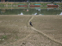 A man is walking along with his bicycle on the dried portion of the river Jhelum as the dry spell is continuing in Srinagar, Jammu and Kashm...