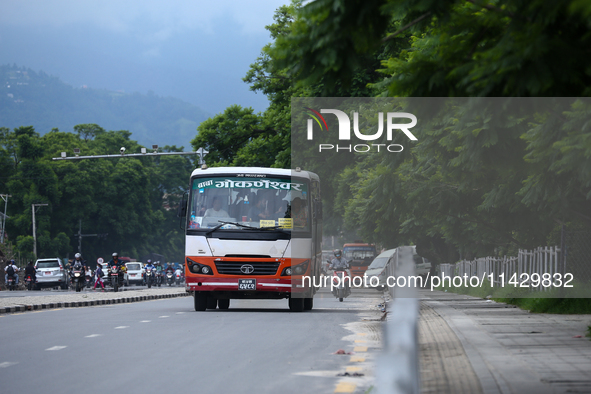 Vehicles are plying on the road of Lalitpur, Nepal, on July 23, 2024, against the backdrop of plants planted on the roadside that have turne...