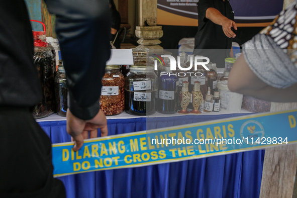 Indonesian National Narcotic Agency (BNN) officers are displaying evidence after a raid of a drug lab, during a press conference in Gianyar,...