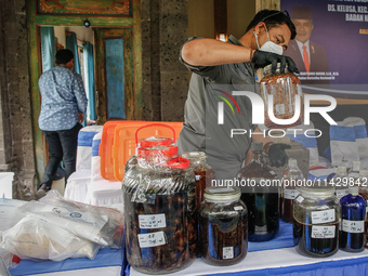 Indonesian National Narcotic Agency (BNN) officers are displaying evidence after a raid of a drug lab, during a press conference in Gianyar,...