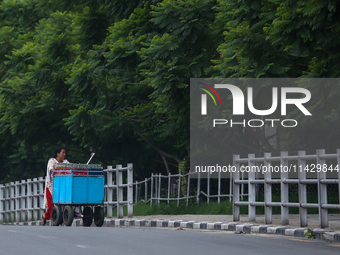 A Nepali vendor is pushing her cart through the roads of Lalitpur, Nepal, on July 23, 2024, against the backdrop of plants planted on the ro...