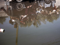 Palestinians are walking past a pool of sewage water on a street in Deir el-Balah in the central Gaza Strip on July 23, 2024, as municipal i...