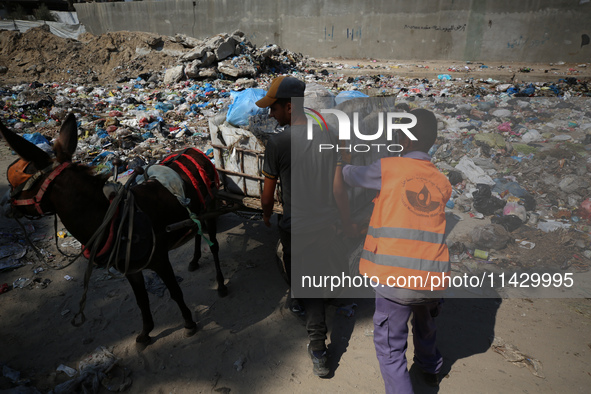 Palestinians are riding a donkey-drawn cart past a garbage dump and sewage water on a street in Deir el-Balah in the central Gaza Strip, on...