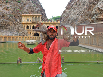 A man is standing with macaques near the holy pond 'Kund' of Shrine Galta Peeth Tirtha, also famous as 'Galta Ji temple' and 'Monkey temple'...