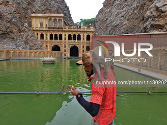 A man is standing with macaques near the holy pond 'Kund' of Shrine Galta Peeth Tirtha, also famous as 'Galta Ji temple' and 'Monkey temple'...