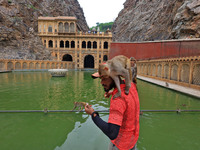 A man is standing with macaques near the holy pond 'Kund' of Shrine Galta Peeth Tirtha, also famous as 'Galta Ji temple' and 'Monkey temple'...