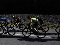 Members of the Mexican triathlon team are cycling during their training for the Paris Olympic Games in Lugo, Galicia, Spain, on July 23, 202...