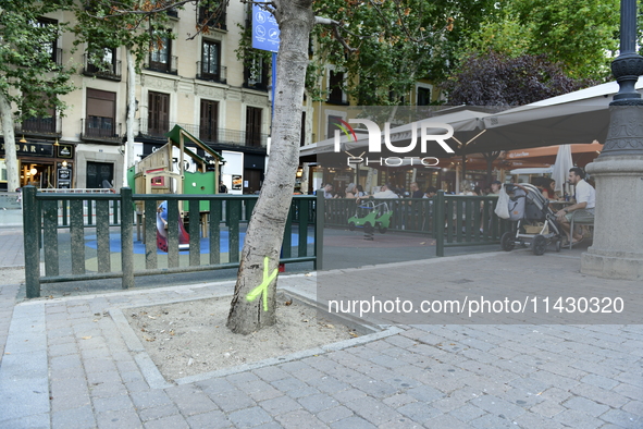 Madrid residents are demonstrating against the City Council's decision to cut down the trees in Plaza de Santa Ana to expand an underground...