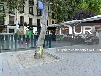 Madrid residents are demonstrating against the City Council's decision to cut down the trees in Plaza de Santa Ana to expand an underground...