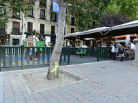 Madrid residents are demonstrating against the City Council's decision to cut down the trees in Plaza de Santa Ana to expand an underground...