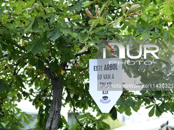 Madrid residents are demonstrating against the City Council's decision to cut down the trees in Plaza de Santa Ana to expand an underground...