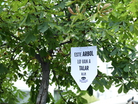 Madrid residents are demonstrating against the City Council's decision to cut down the trees in Plaza de Santa Ana to expand an underground...