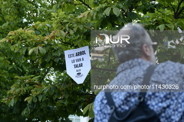 Madrid residents are demonstrating against the City Council's decision to cut down the trees in Plaza de Santa Ana to expand an underground...