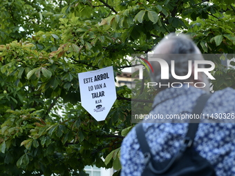 Madrid residents are demonstrating against the City Council's decision to cut down the trees in Plaza de Santa Ana to expand an underground...