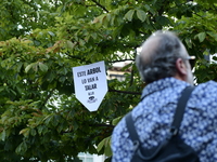 Madrid residents are demonstrating against the City Council's decision to cut down the trees in Plaza de Santa Ana to expand an underground...