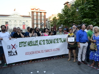 Madrid residents are demonstrating against the City Council's decision to cut down the trees in Plaza de Santa Ana to expand an underground...