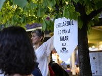 Madrid residents are demonstrating against the City Council's decision to cut down the trees in Plaza de Santa Ana to expand an underground...