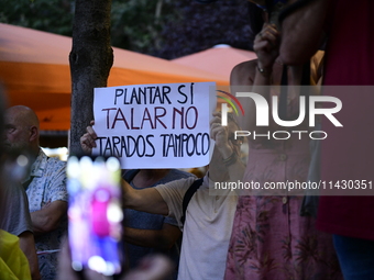 Madrid residents are demonstrating against the City Council's decision to cut down the trees in Plaza de Santa Ana to expand an underground...