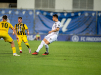 Emiliano Martinez of FC Midtjylland is in action during the Second phase of UEFA Champions League Qualification 2024-2025 match between UD S...