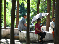 Senior citizens are relaxing at a park in Fuyang, China, on July 22, 2024. (