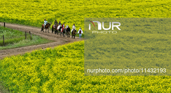 Tourists are riding horses in the sea of rapeseed flowers at the Pingdukou leisure tourist attraction in Minle county, Zhangye city, Gansu p...