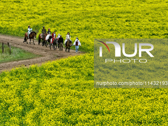 Tourists are riding horses in the sea of rapeseed flowers at the Pingdukou leisure tourist attraction in Minle county, Zhangye city, Gansu p...