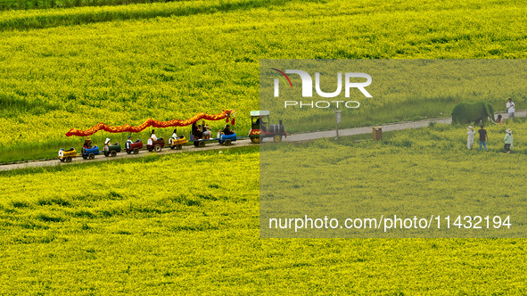 Tourists are taking a tour bus to enjoy the beautiful scenery in the sea of rapeseed flowers at the Bamdukou leisure tourism area in Minle c...