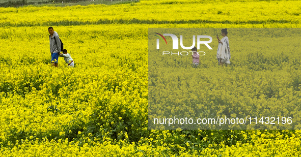 Tourists and children are enjoying rapeseed flowers at the Bindukou leisure tourist attraction in Minle county of Zhangye city, in Zhangye,...