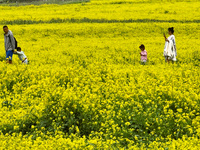 Tourists and children are enjoying rapeseed flowers at the Bindukou leisure tourist attraction in Minle county of Zhangye city, in Zhangye,...