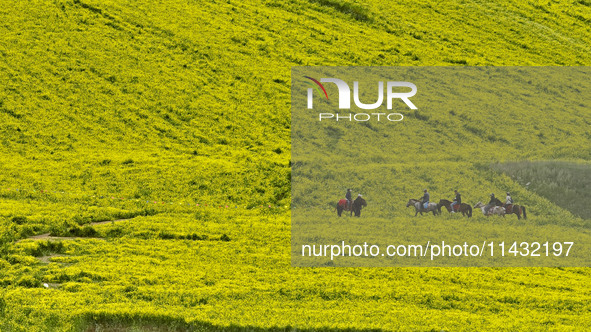 Tourists are riding horses in a sea of rapeseed flowers at the Bamdukou leisure tourist attraction in Minle county, Zhangye city, Gansu prov...