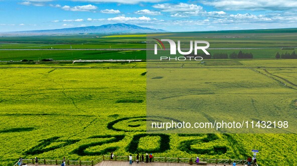 Tourists are viewing a beautiful sea of rapeseed flowers on a viewing platform at the Bindukou leisure tourism scenic spot in Minle County,...