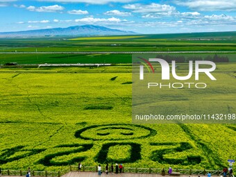 Tourists are viewing a beautiful sea of rapeseed flowers on a viewing platform at the Bindukou leisure tourism scenic spot in Minle County,...