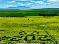 Tourists are viewing a beautiful sea of rapeseed flowers on a viewing platform at the Bindukou leisure tourism scenic spot in Minle County,...