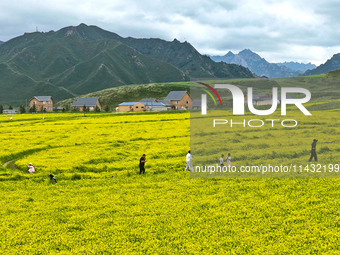 Tourists are enjoying the golden flowers at the Pingdukou leisure tourist attraction in Minle County, Zhangye city, Gansu province, on July...